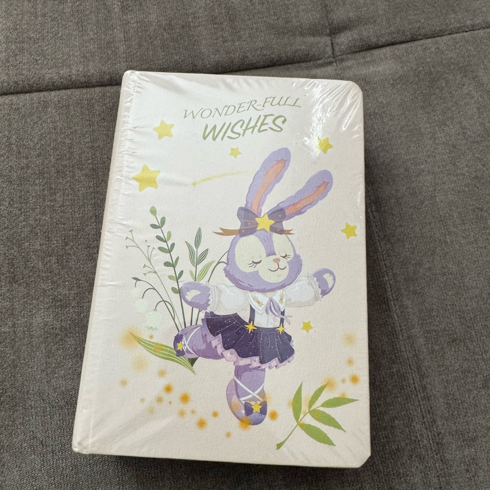 Duffy and Friends Wonder-full wishes mini notebooks set.